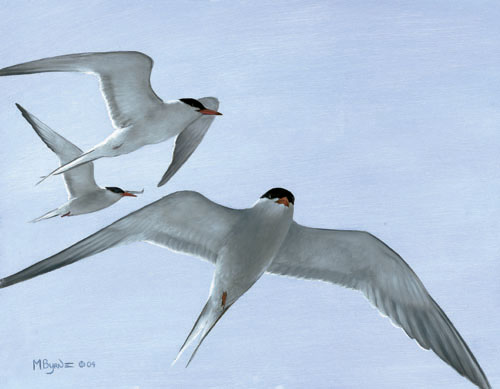 its my tern big